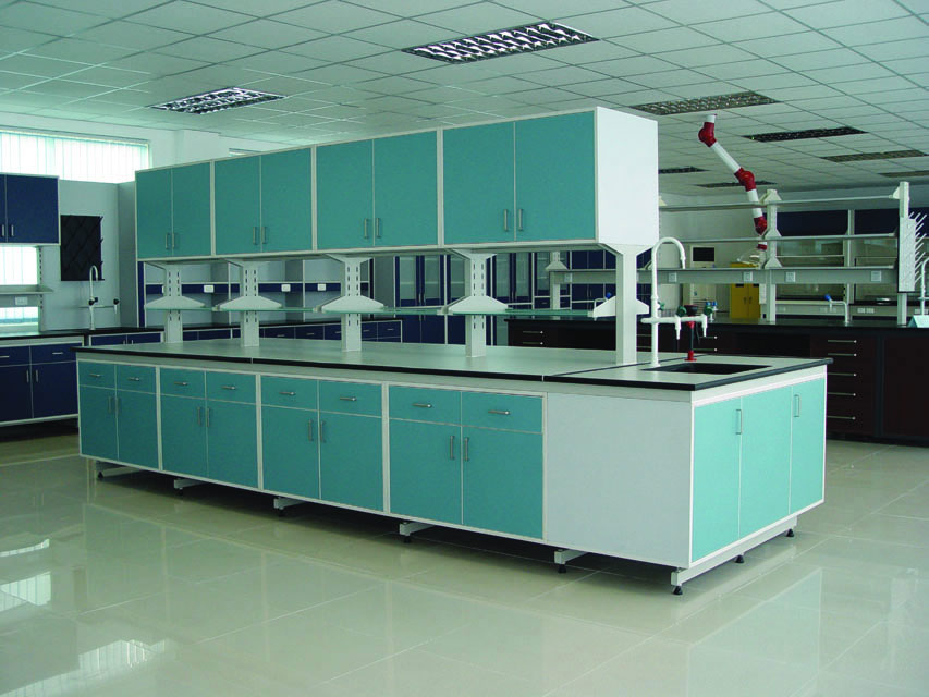 鋼木實(shí)驗(yàn)臺(tái)、化學(xué)實(shí)驗(yàn)臺(tái)、邊臺(tái)、中央實(shí)驗(yàn)臺(tái)、生物實(shí)驗(yàn)臺(tái)