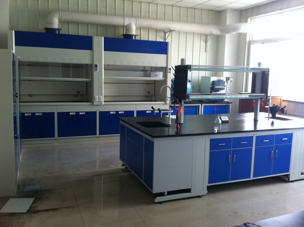 實驗室通風(fēng)柜（標(biāo)準(zhǔn)型、補風(fēng)型、聯(lián)體型、桌上型、落地式、不銹鋼通風(fēng)柜）